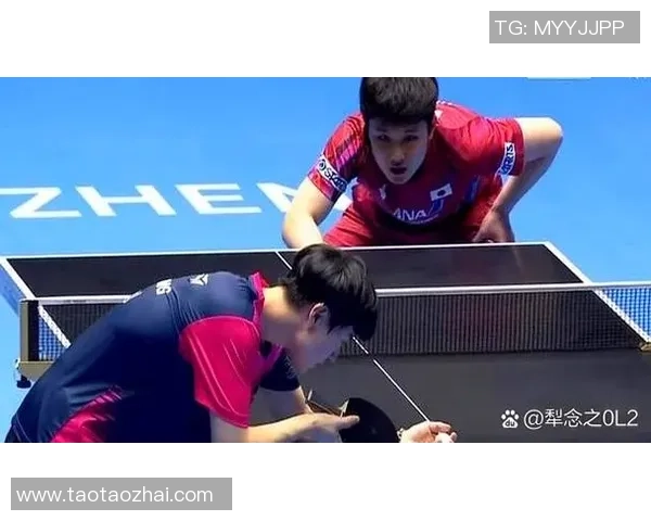 赛后分析：深圳乒乓球队与上海乒乓球队的表现与状态对比
